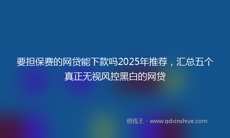 要担保费的网贷能下款吗2025年推荐，汇总五个真正无视风控黑白的网贷