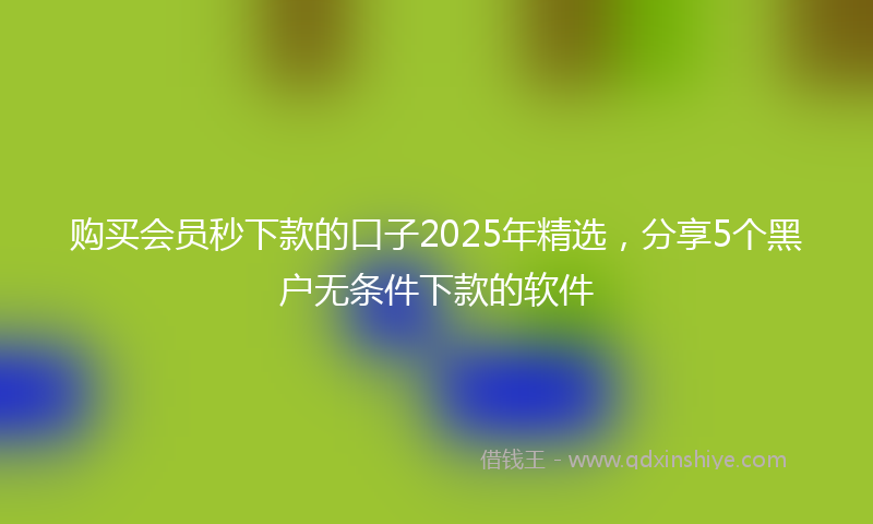 购买会员秒下款的口子2025年精选，分享5个黑户无条件下款的软件