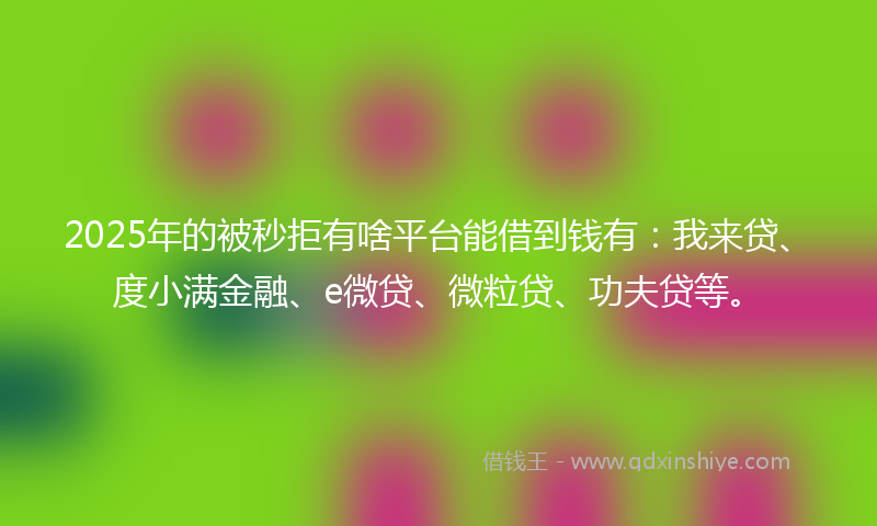 2025年的被秒拒有啥平台能借到钱有：我来贷、度小满金融、e微贷、微粒贷、功夫贷等。