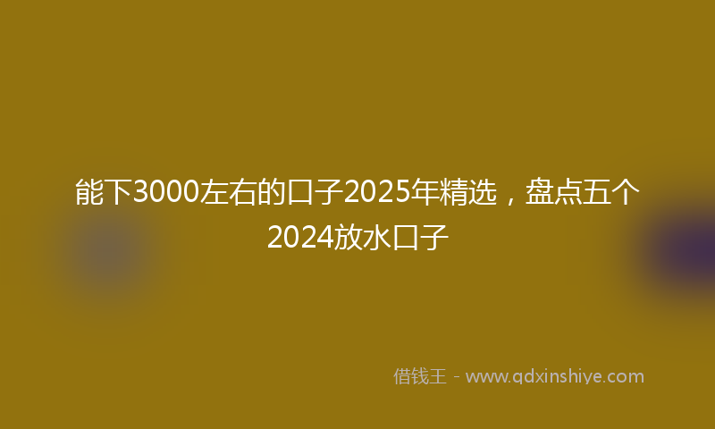 能下3000左右的口子2025年精选，盘点五个2024放水口子