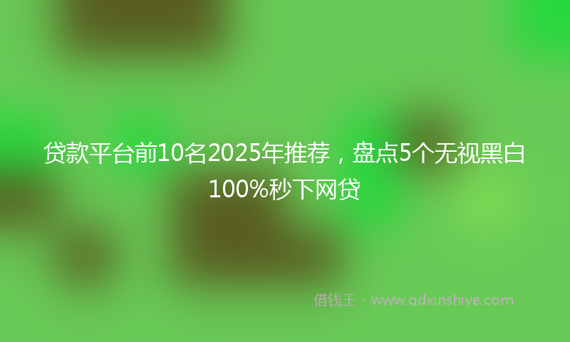 贷款平台前10名2025年推荐，盘点5个无视黑白100%秒下网贷
