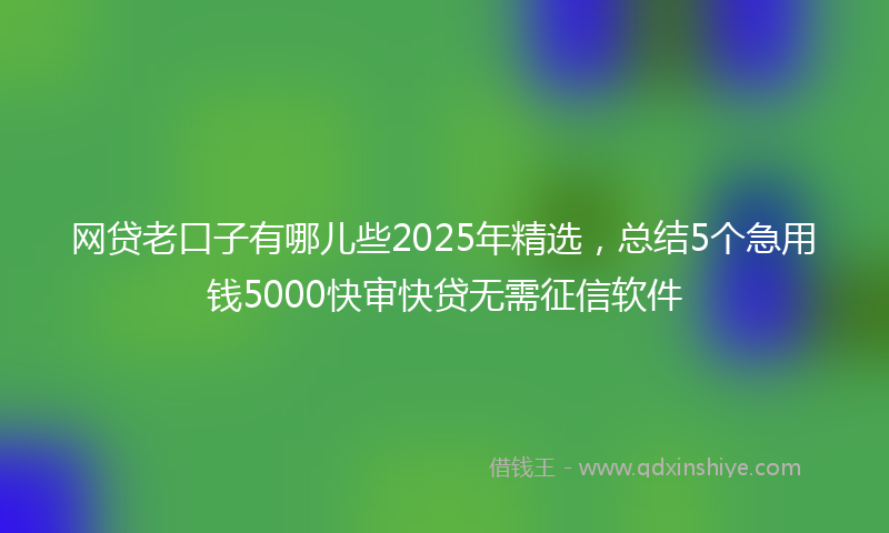 网贷老口子有哪儿些2025年精选，总结5个急用钱5000快审快贷无需征信软件