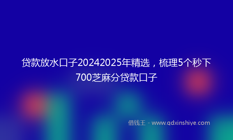 贷款放水口子20242025年精选，梳理5个秒下700芝麻分贷款口子
