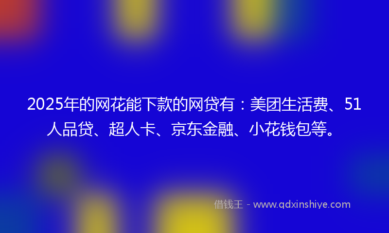 2025年的网花能下款的网贷有：美团生活费、51人品贷、超人卡、京东金融、小花钱包等。