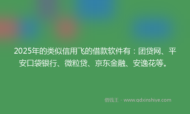 2025年的类似信用飞的借款软件有：团贷网、平安口袋银行、微粒贷、京东金融、安逸花等。