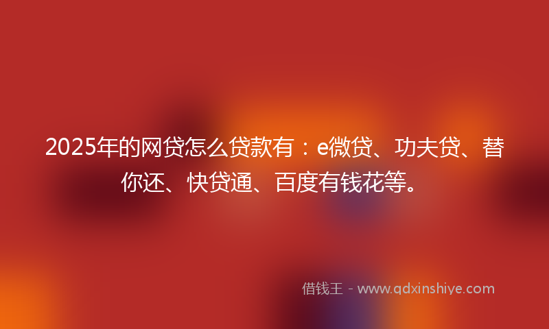2025年的网贷怎么贷款有：e微贷、功夫贷、替你还、快贷通、百度有钱花等。