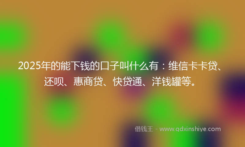 2025年的能下钱的口子叫什么有：维信卡卡贷、还呗、惠商贷、快贷通、洋钱罐等。