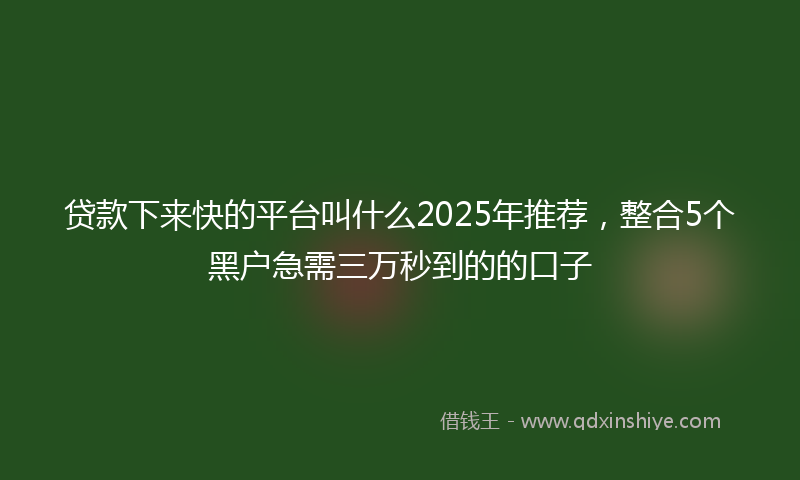 贷款下来快的平台叫什么2025年推荐，整合5个黑户急需三万秒到的的口子