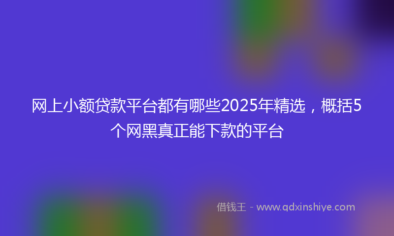 网上小额贷款平台都有哪些2025年精选，概括5个网黑真正能下款的平台