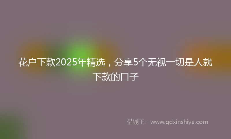 花户下款2025年精选，分享5个无视一切是人就下款的口子
