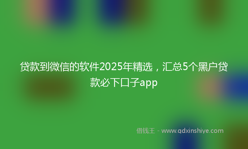 贷款到微信的软件2025年精选，汇总5个黑户贷款必下口子app