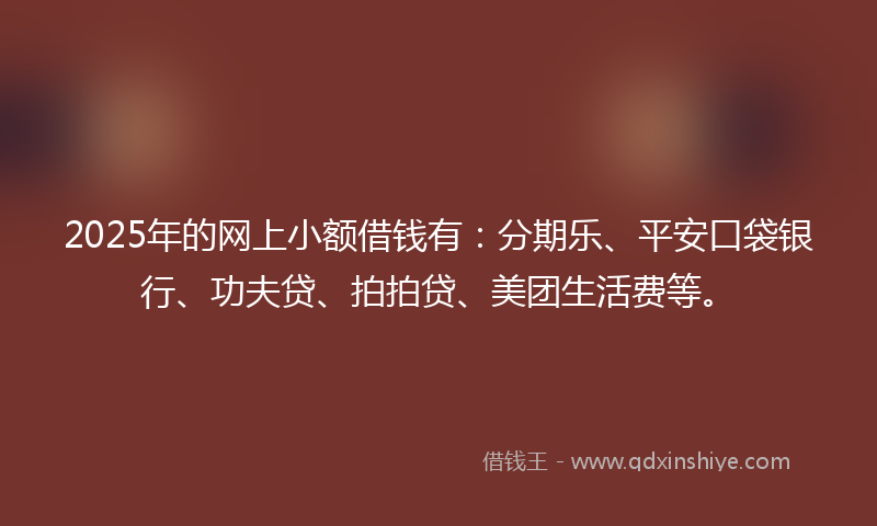 2025年的网上小额借钱有：分期乐、平安口袋银行、功夫贷、拍拍贷、美团生活费等。