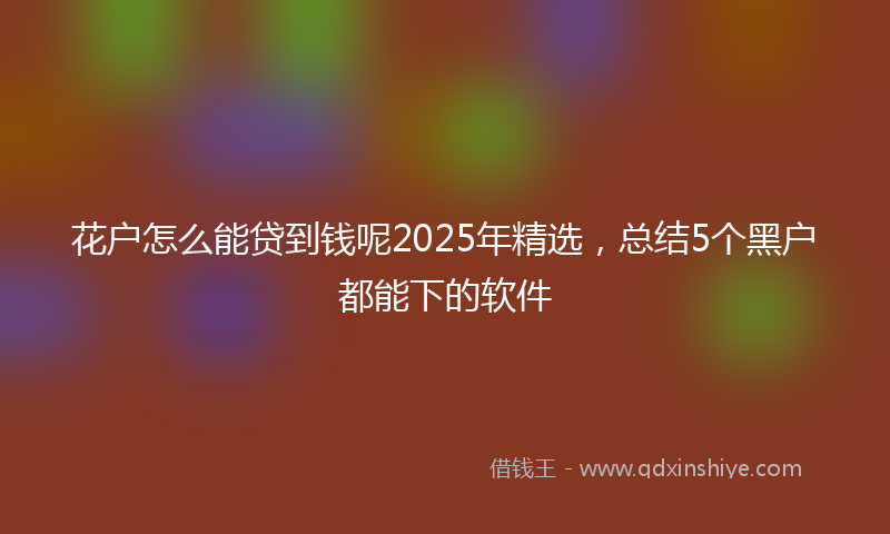 花户怎么能贷到钱呢2025年精选，总结5个黑户都能下的软件
