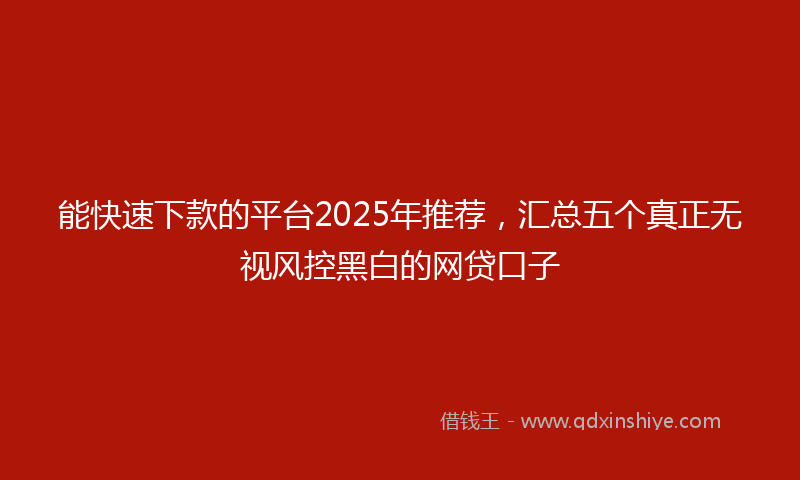 能快速下款的平台2025年推荐，汇总五个真正无视风控黑白的网贷口子