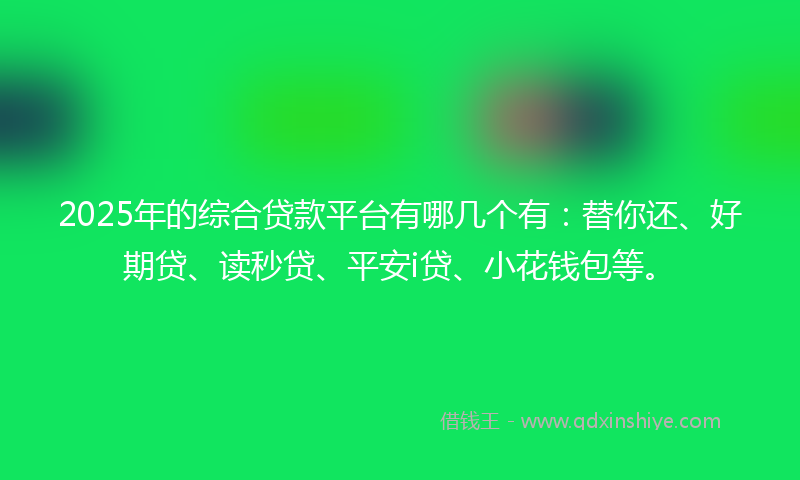 2025年的综合贷款平台有哪几个有：替你还、好期贷、读秒贷、平安i贷、小花钱包等。