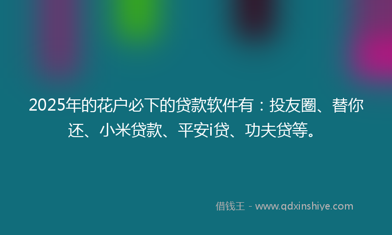 2025年的花户必下的贷款软件有：投友圈、替你还、小米贷款、平安i贷、功夫贷等。