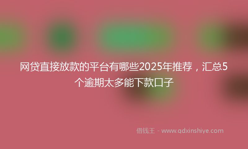 网贷直接放款的平台有哪些2025年推荐，汇总5个逾期太多能下款口子