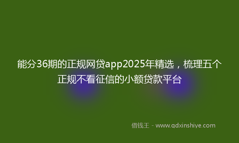 能分36期的正规网贷app2025年精选，梳理五个正规不看征信的小额贷款平台