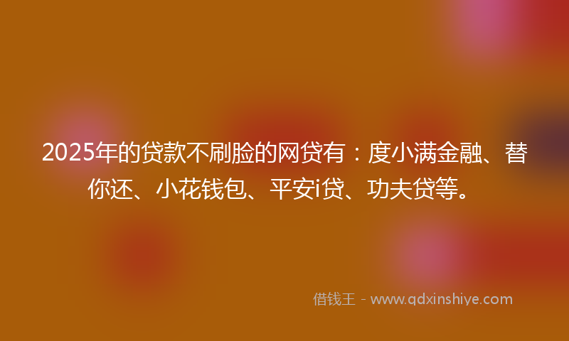 2025年的贷款不刷脸的网贷有：度小满金融、替你还、小花钱包、平安i贷、功夫贷等。