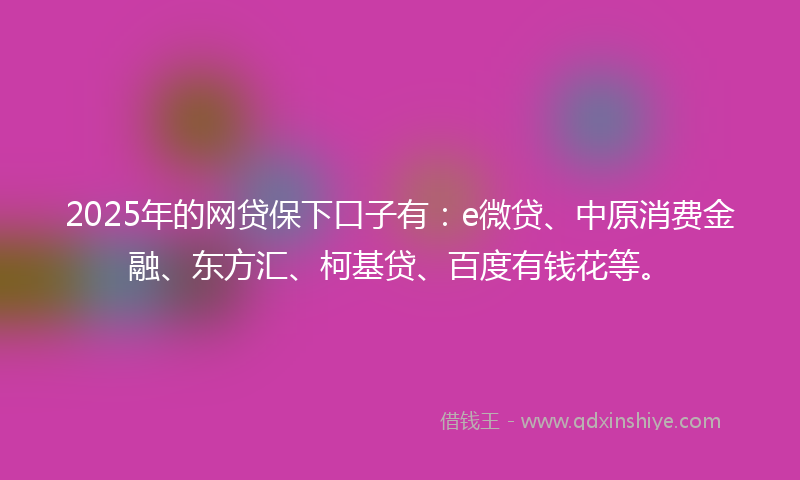 2025年的网贷保下口子有：e微贷、中原消费金融、东方汇、柯基贷、百度有钱花等。