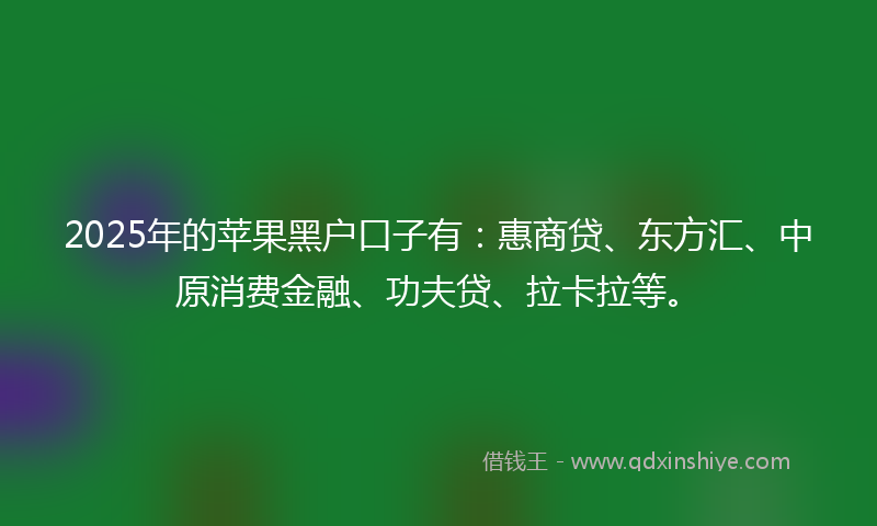 2025年的苹果黑户口子有：惠商贷、东方汇、中原消费金融、功夫贷、拉卡拉等。