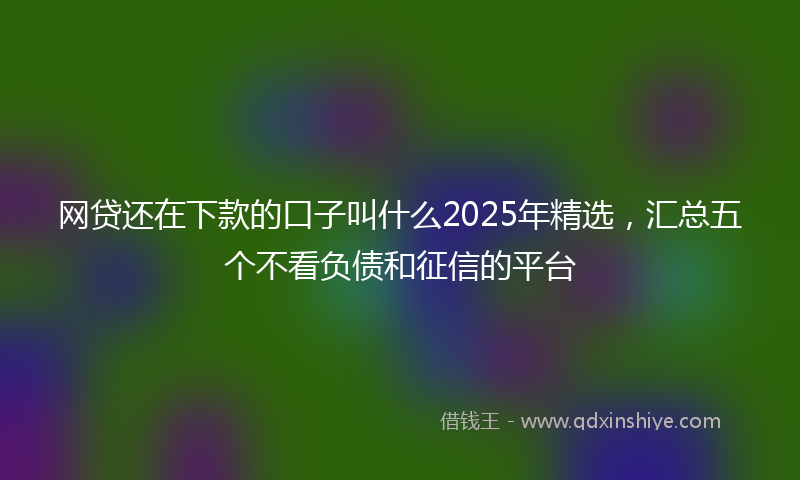 网贷还在下款的口子叫什么2025年精选，汇总五个不看负债和征信的平台