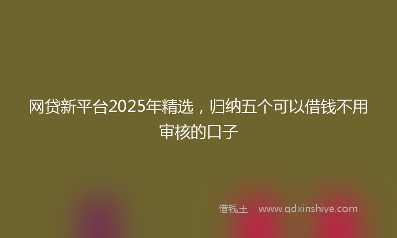 网贷新平台2025年精选，归纳五个可以借钱不用审核的口子