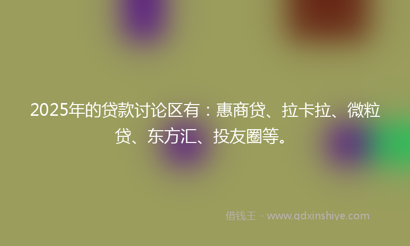 2025年的贷款讨论区有：惠商贷、拉卡拉、微粒贷、东方汇、投友圈等。
