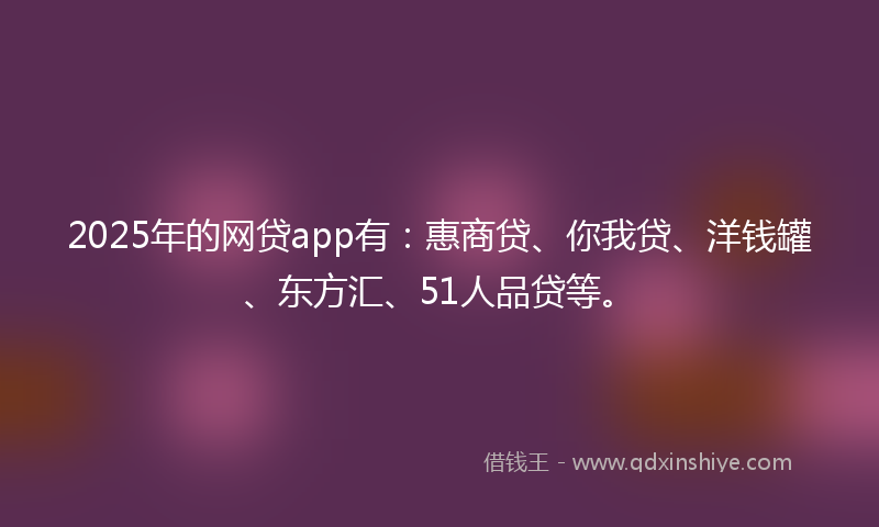 2025年的网贷app有：惠商贷、你我贷、洋钱罐、东方汇、51人品贷等。