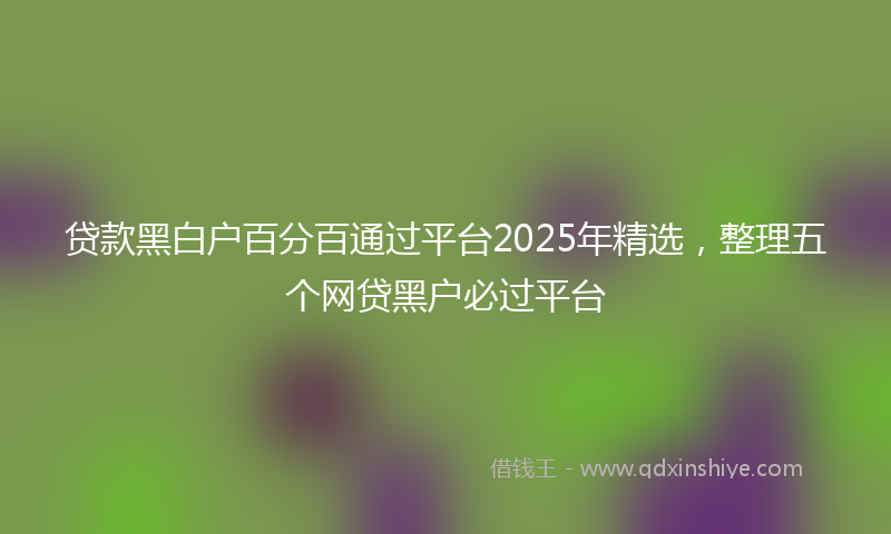 贷款黑白户百分百通过平台2025年精选，整理五个网贷黑户必过平台
