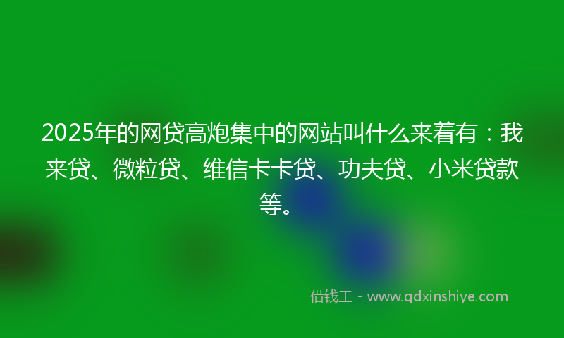 2025年的网贷高炮集中的网站叫什么来着有：我来贷、微粒贷、维信卡卡贷、功夫贷、小米贷款等。
