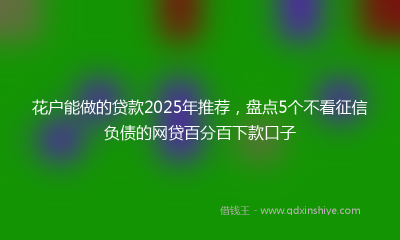 花户能做的贷款2025年推荐，盘点5个不看征信负债的网贷百分百下款口子