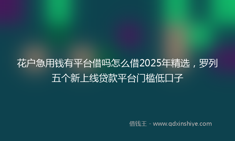 花户急用钱有平台借吗怎么借2025年精选，罗列五个新上线贷款平台门槛低口子