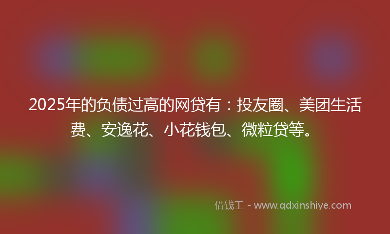 2025年的负债过高的网贷有：投友圈、美团生活费、安逸花、小花钱包、微粒贷等。