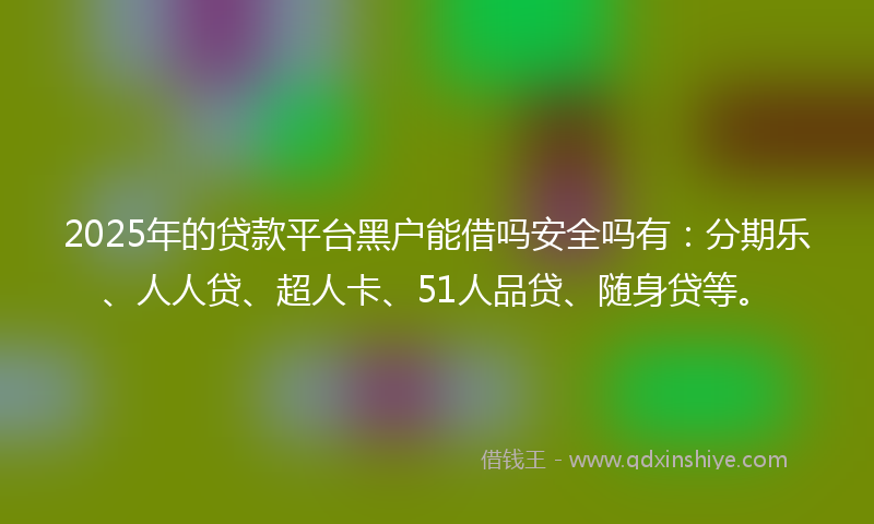 2025年的贷款平台黑户能借吗安全吗有：分期乐、人人贷、超人卡、51人品贷、随身贷等。