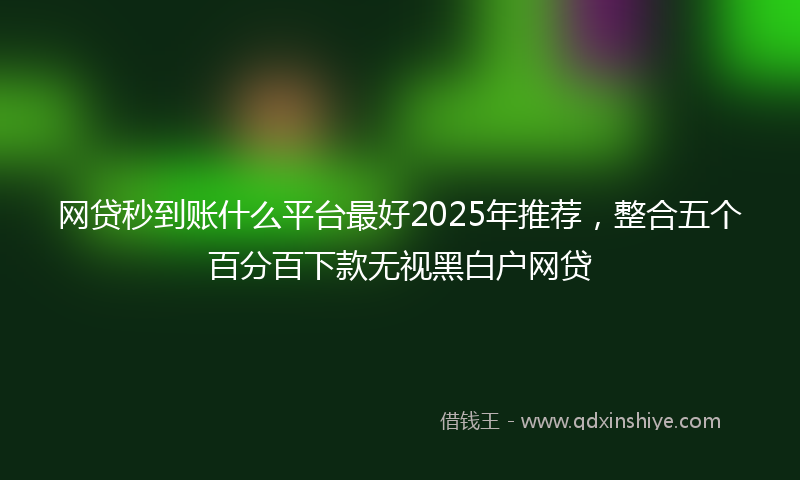 网贷秒到账什么平台最好2025年推荐，整合五个百分百下款无视黑白户网贷