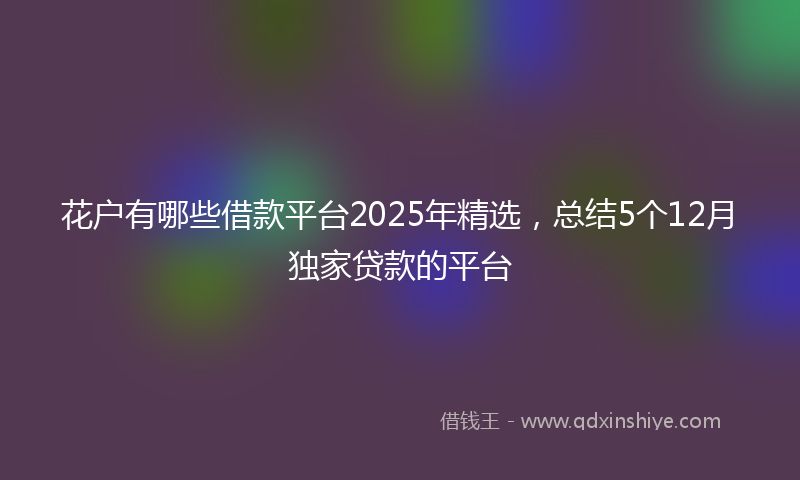 花户有哪些借款平台2025年精选，总结5个12月独家贷款的平台