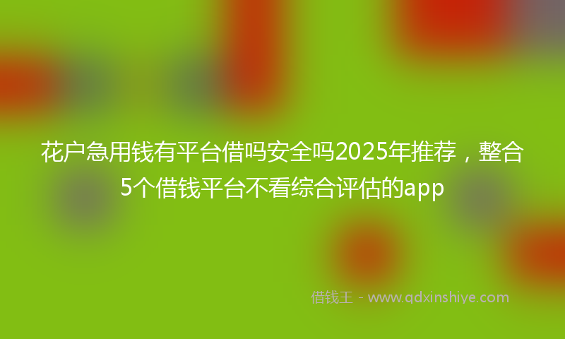 花户急用钱有平台借吗安全吗2025年推荐,整合5个借钱平台不看综合评估的app