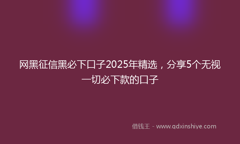网黑征信黑必下口子2025年精选，分享5个无视一切必下款的口子