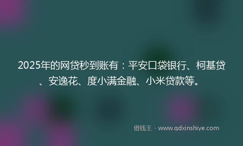 2025年的网贷秒到账有：平安口袋银行、柯基贷、安逸花、度小满金融、小米贷款等。