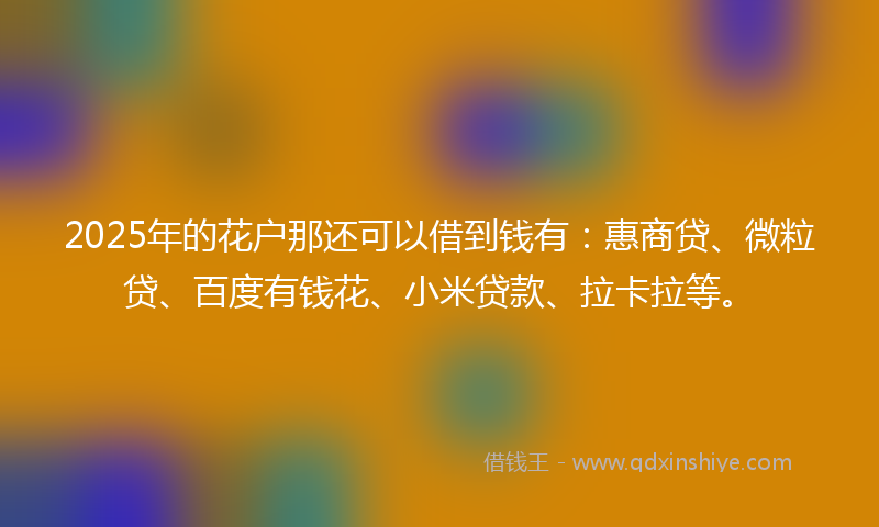 2025年的花户那还可以借到钱有:惠商贷、微粒贷、百度有钱花、小米贷款、拉卡拉等。
