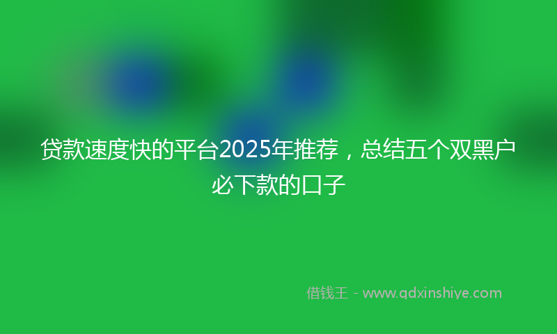 贷款速度快的平台2025年推荐，总结五个双黑户必下款的口子