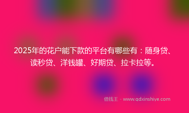 2025年的花户能下款的平台有哪些有：随身贷、读秒贷、洋钱罐、好期贷、拉卡拉等。