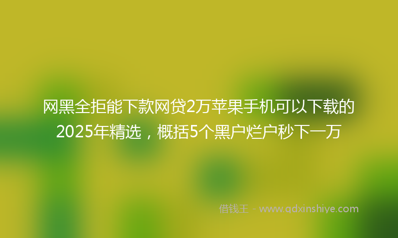 网黑全拒能下款网贷2万苹果手机可以下载的2025年精选，概括5个黑户烂户秒下一万