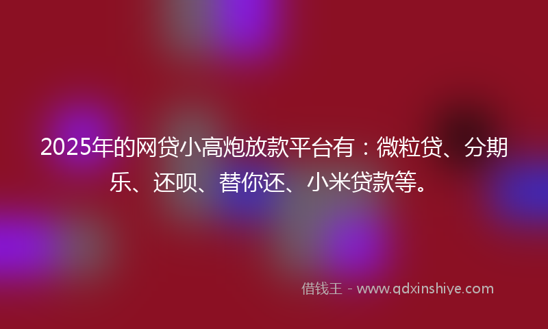 2025年的网贷小高炮放款平台有：微粒贷、分期乐、还呗、替你还、小米贷款等。