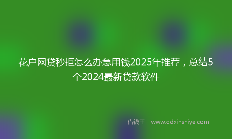 花户网贷秒拒怎么办急用钱2025年推荐,总结5个2024最新贷款软件
