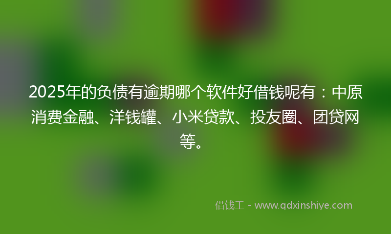 2025年的负债有逾期哪个软件好借钱呢有：中原消费金融、洋钱罐、小米贷款、投友圈、团贷网等。