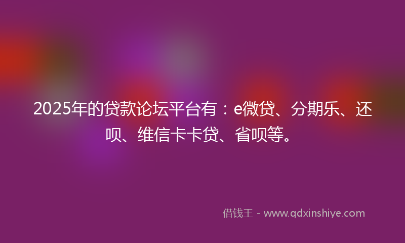 2025年的贷款论坛平台有：e微贷、分期乐、还呗、维信卡卡贷、省呗等。