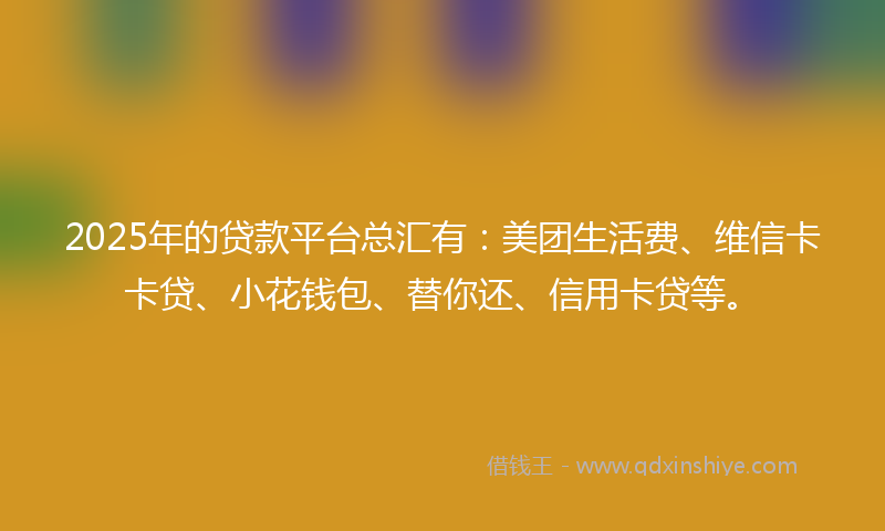 2025年的贷款平台总汇有：美团生活费、维信卡卡贷、小花钱包、替你还、信用卡贷等。