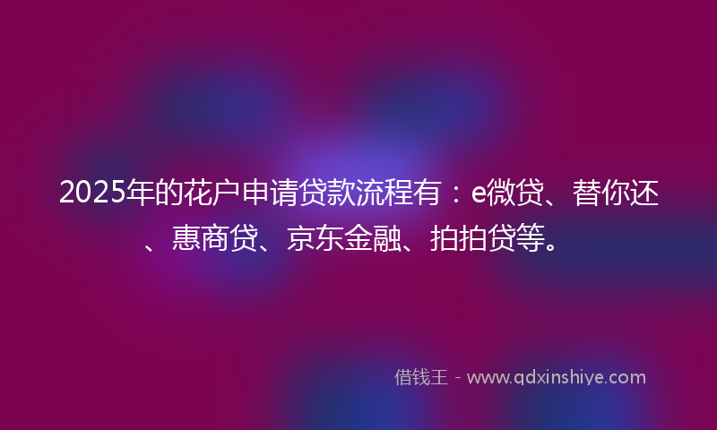 2025年的花户申请贷款流程有：e微贷、替你还、惠商贷、京东金融、拍拍贷等。